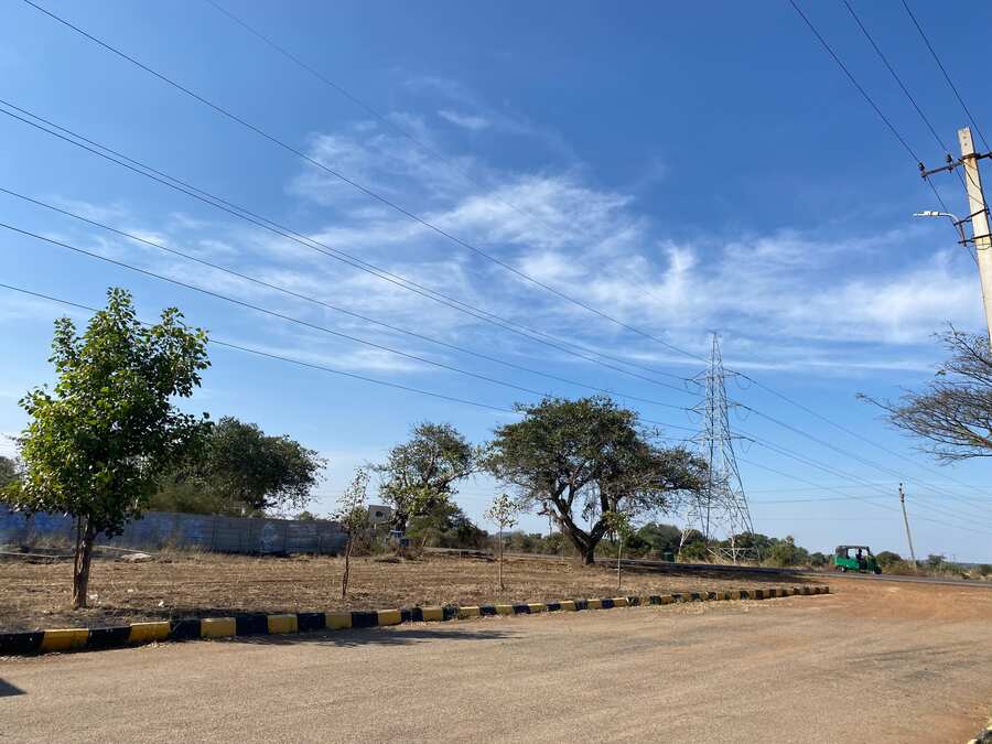 250 Acres — Plot Land